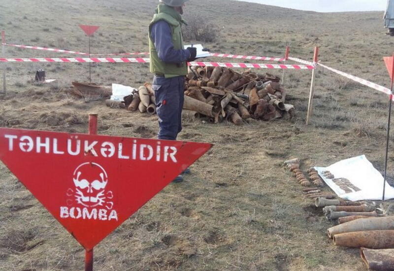 Сколько граждан стали жертвами мин?