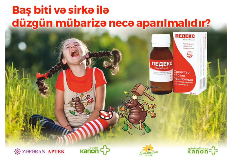 Baş biti və sirkə ilə düzgün mübarizə necə aparılmalıdır?