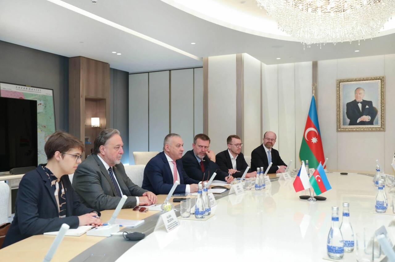 Президент SOCAR обсудил поставки дополнительных объемов газа в Европу с чешским министром