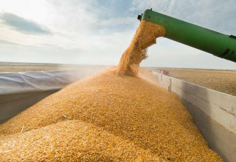 Еврокомиссия продлила запрет импорта зерна из Украины
