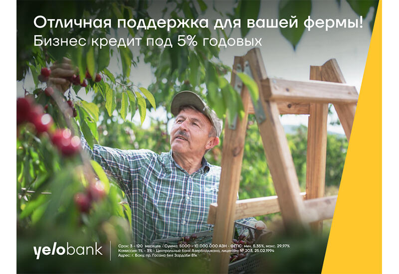 Бизнес-кредиты от Yelo Bank под 5% годовых