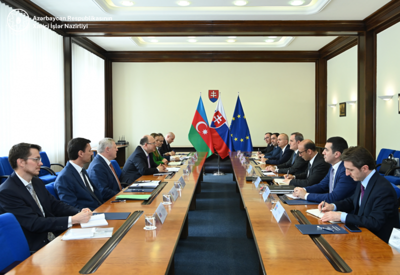 Ceyhun Bayramov Miroslav Vlaxovskini Ermənistanın müxtəlif bəhanə və təxribatlarla sülh prosesini ləngitməsi barədə məlumatlandırıb