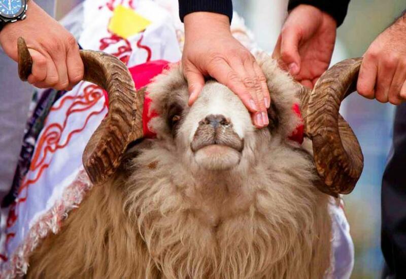 Qurban kəsmək kimlərə vacibdir?