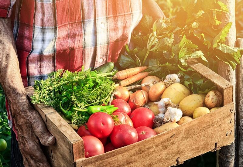 Названы снижающие риск распространенного вида рака продукты