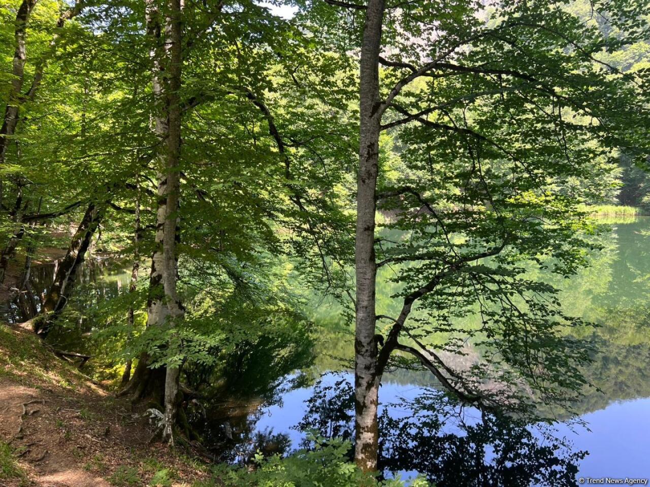 Уникальное творение природы