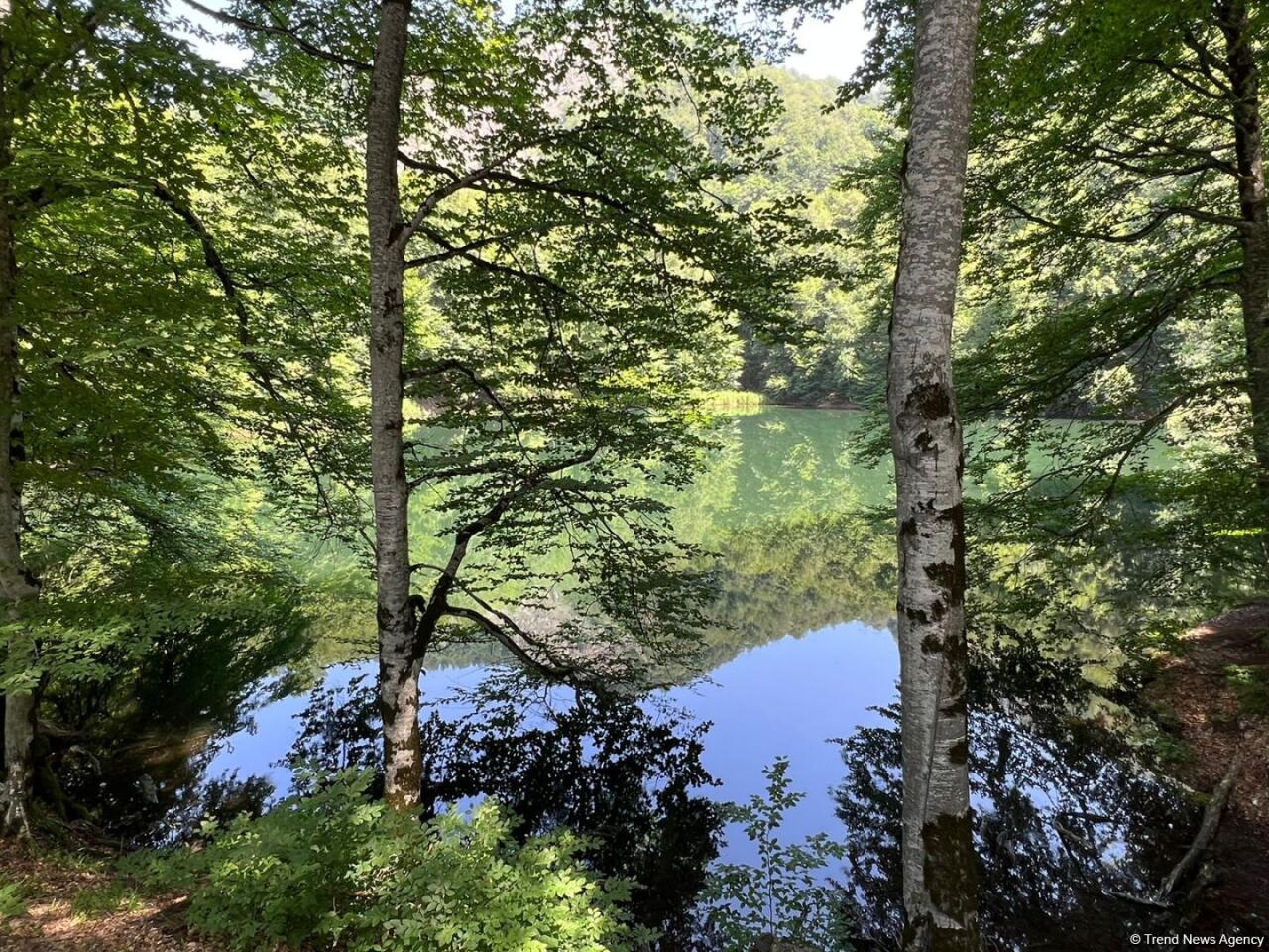 Уникальное творение природы