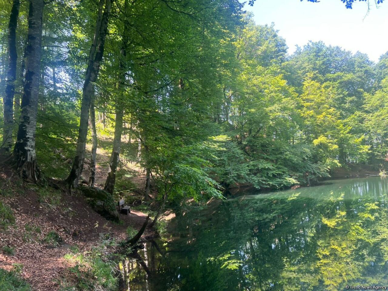 Уникальное творение природы