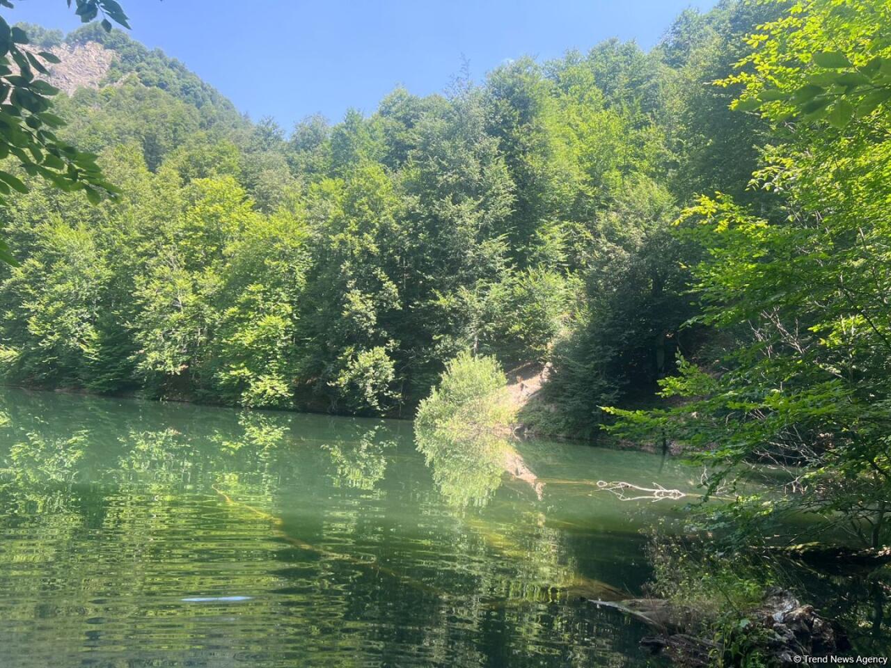 Уникальное творение природы