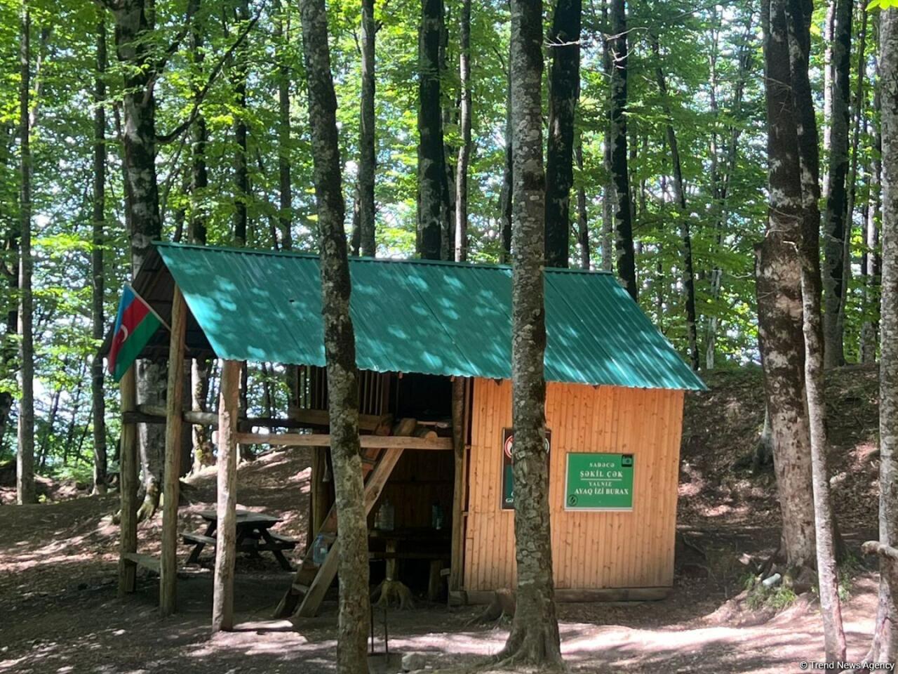 Уникальное творение природы