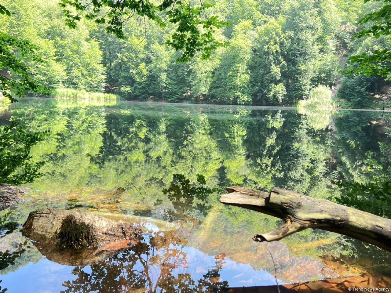 Уникальное творение природы