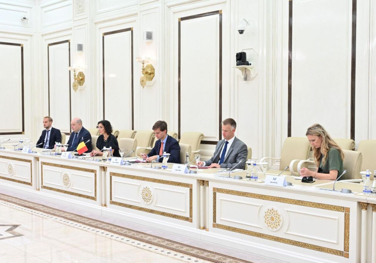Сахиба Гафарова приняла главу МИД Бельгии