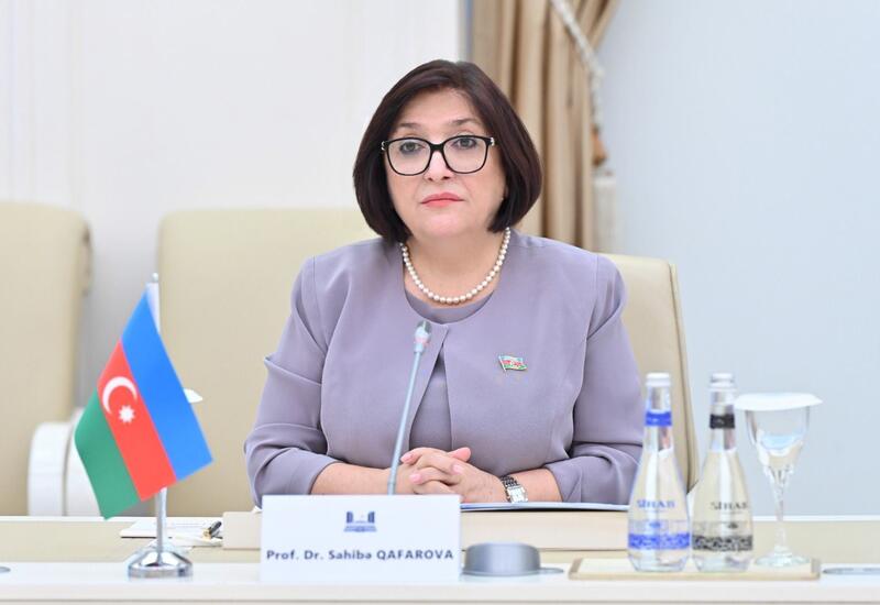 Сахиба Гафарова приняла главу МИД Бельгии