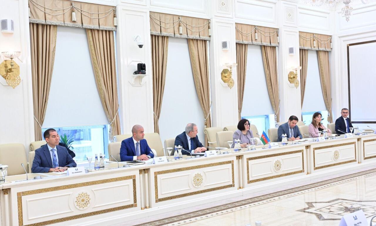 Сахиба Гафарова приняла главу МИД Бельгии