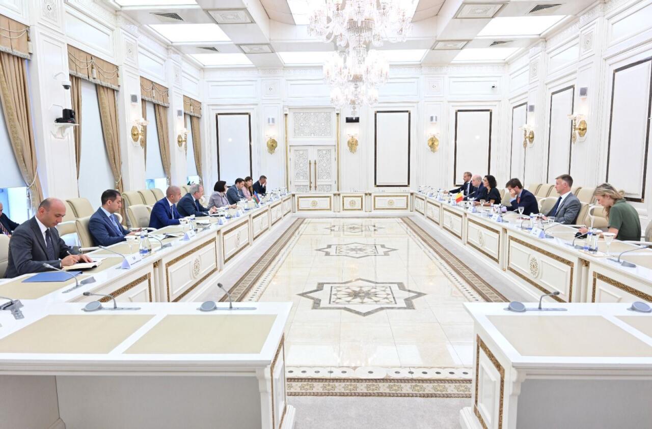 Сахиба Гафарова приняла главу МИД Бельгии