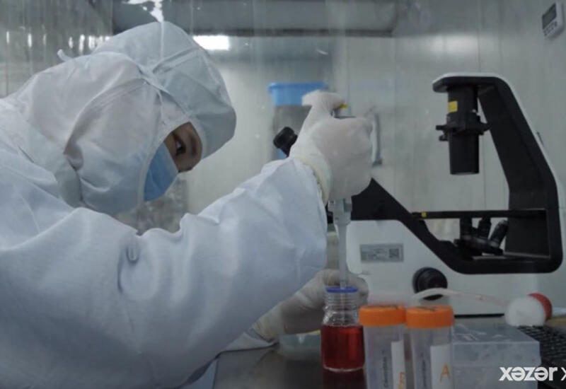 Azərbaycanda COVİD-in yeni ştammı varmı?