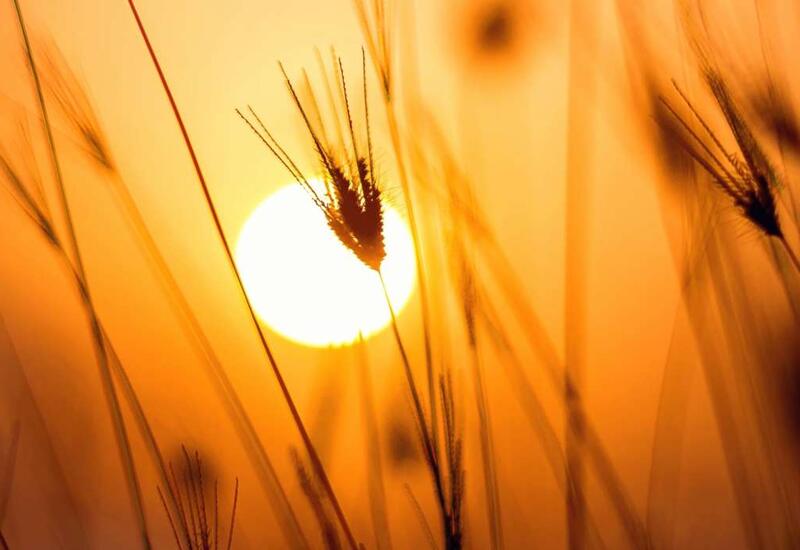 Землю накроют мощные магнитные бури