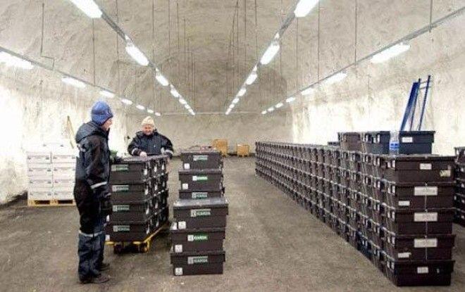 Самое важное сооружение на планете
