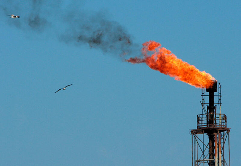 Власти Калифорнии подали в суд на BP, Shell, Exxon, ConocoPhillips и Chevron