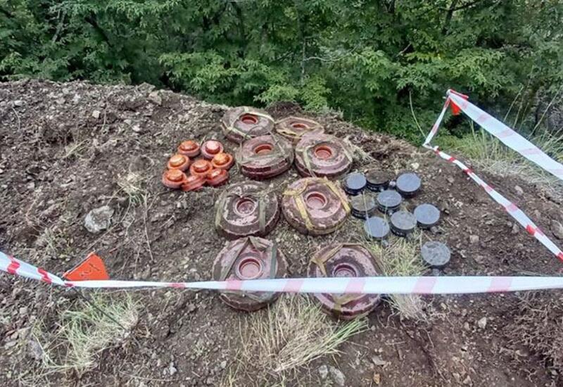 В селе Черектар Кяльбаджарского района обезврежено большое количество мин