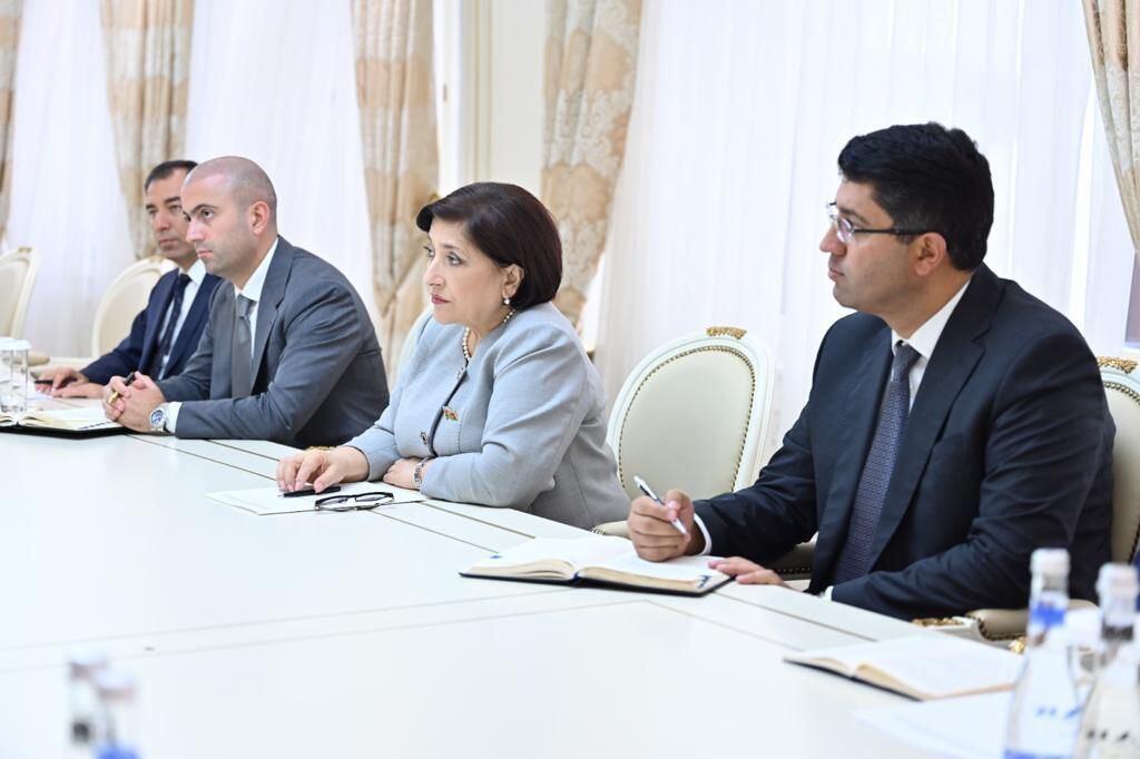 Сахиба Гафарова приняла делегацию Турции в АПА