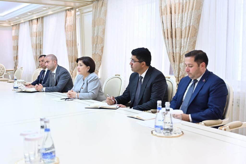 Сахиба Гафарова приняла делегацию Турции в АПА