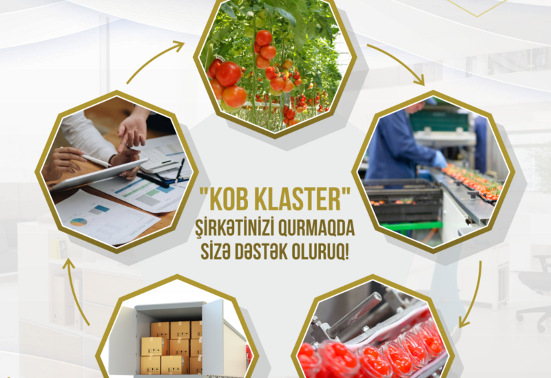 KOBİA klaster yaratmaq istəyən sahibkarlara