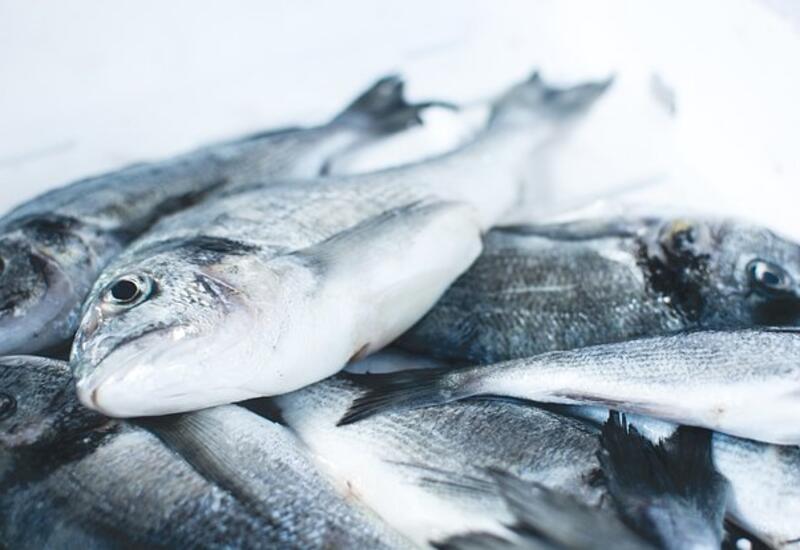 Диетолог рассказала о полезных для печени продуктах