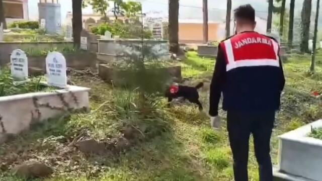 Babasının qəbrində görün nə gizlədib