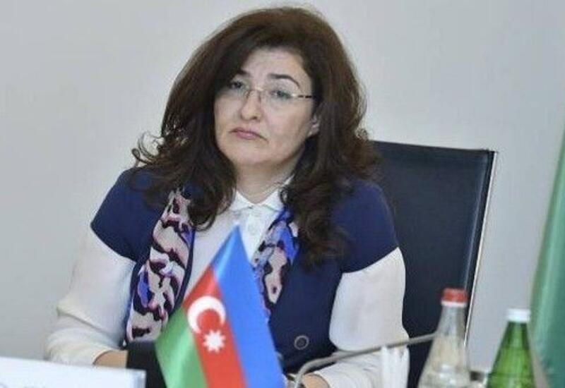 Севиндж Гасанова освобождена от занимаемой должности