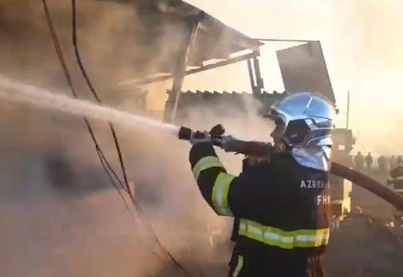 “Taxta bazarı”ndakı yanğına görə zərərçəkənlərə sığorta ödənişi veriləcək?