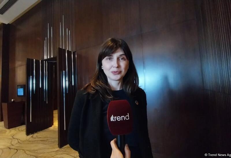 Азербайджан является лидером в гуманитарной деятельности по разминированию