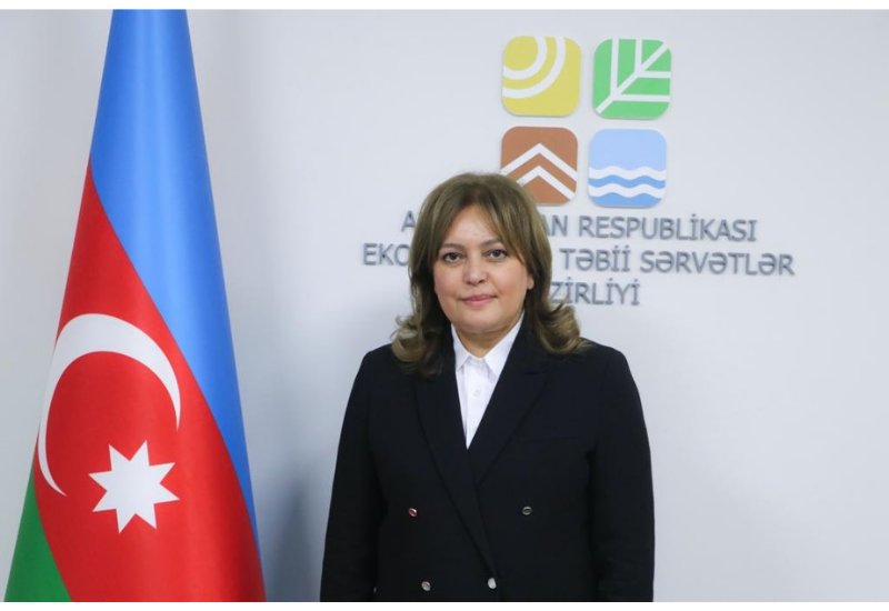 Создание зоны углеродной нейтральности на освобожденных территориях до 2030 года является одной из основных целей