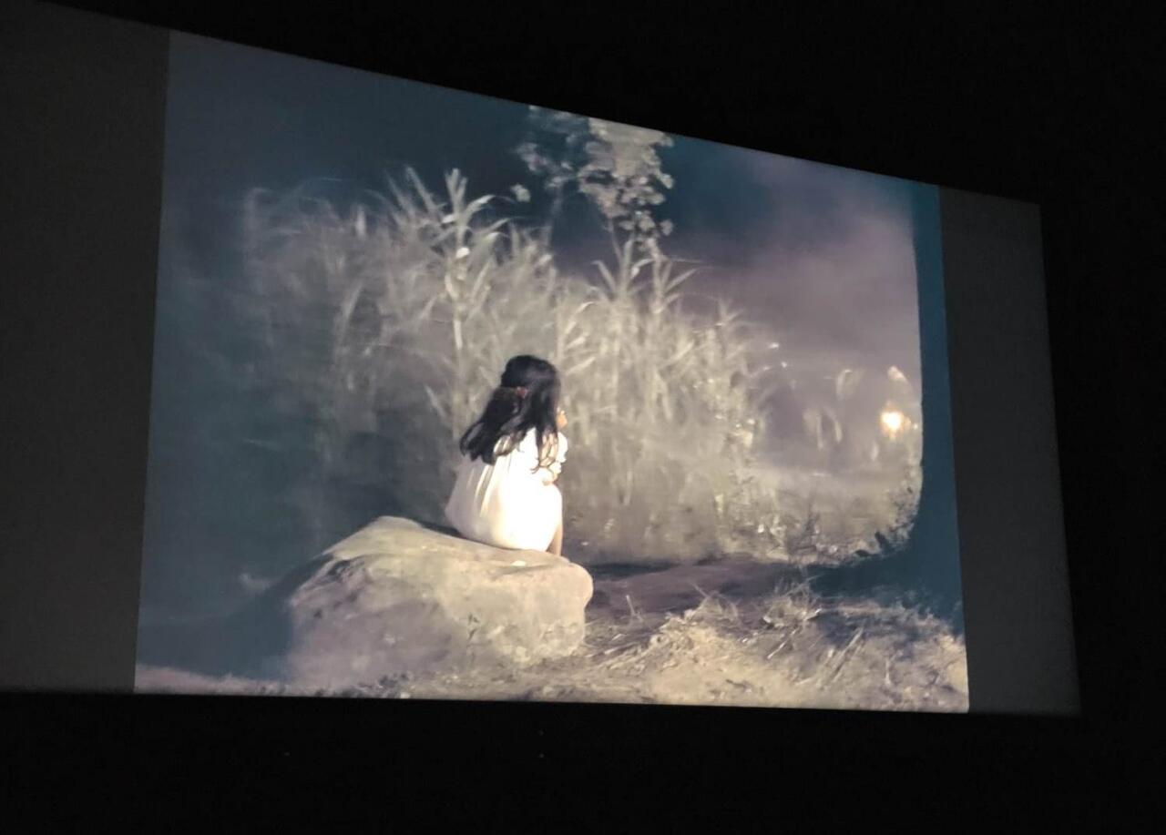 На International Heritage Film Festival в Париже представлены азербайджанские фильмы