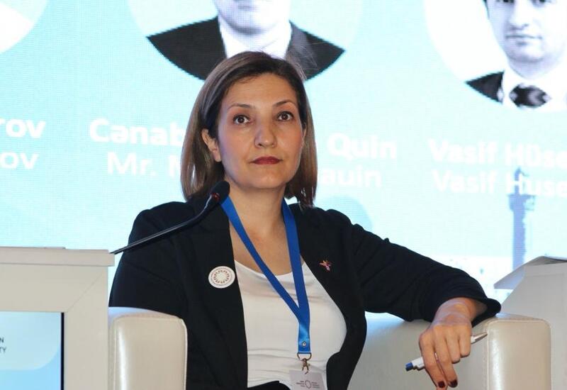 Azərbaycanın tarixi izləri ermənilər tərəfindən bilərəkdən silinib