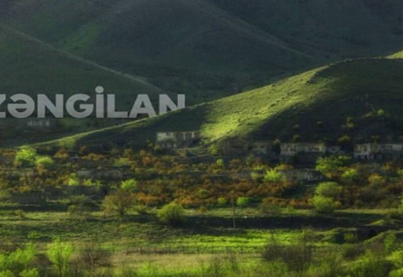 Xarici ekspertlərin iştirakı ilə Zəngilanda panel
