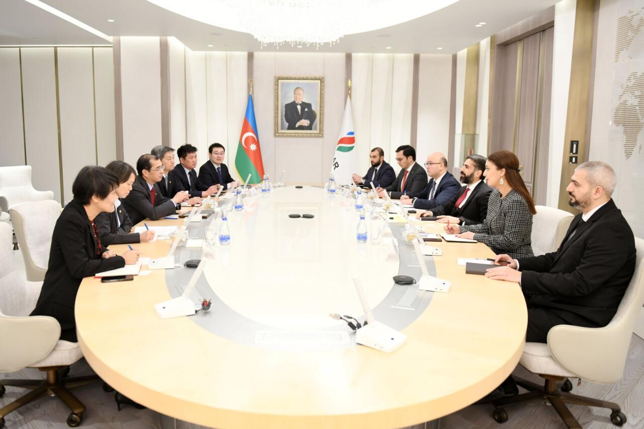 SOCAR и China Energy International Group обсудили развитие «зеленой» энергетики