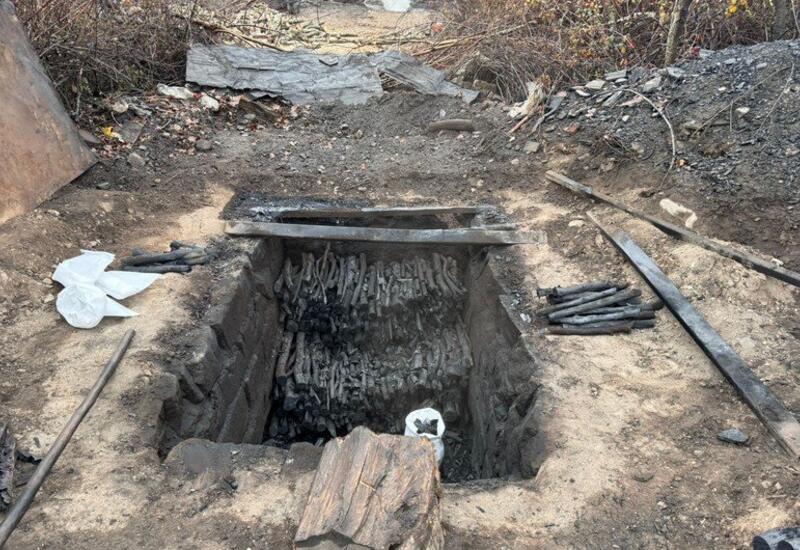 Oğuzda qanunsuz kömür istehsal edən şəxs barəsində tədbir görüldü