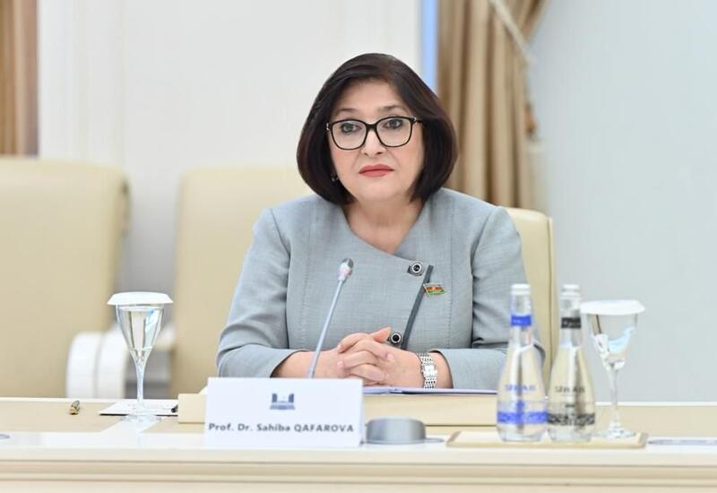 Сахиба Гафарова обратилась с письмом к председателям парламентов государств-членов СЕ