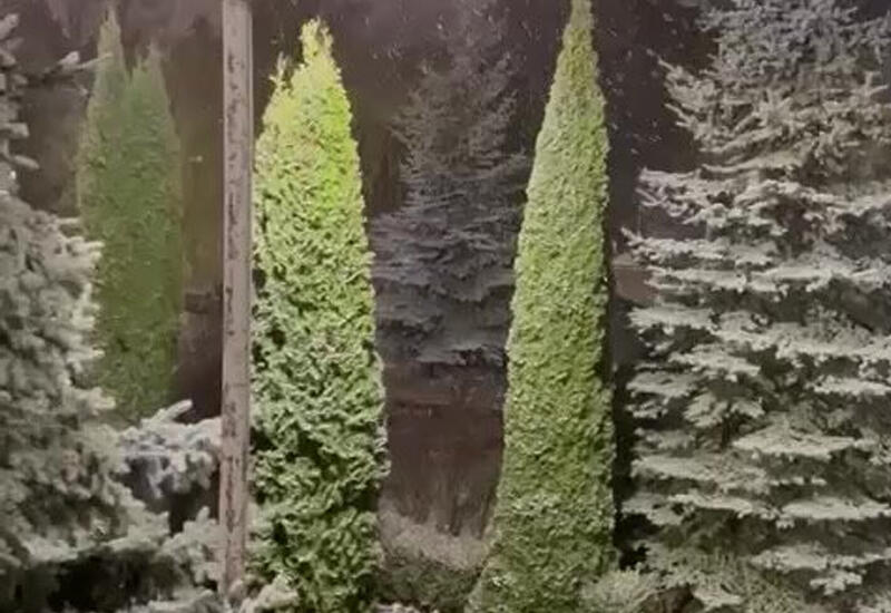 В Шуше выпал первый снег