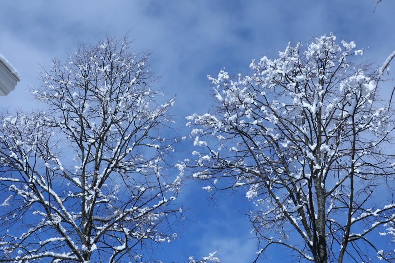 В Лачине выпал снег