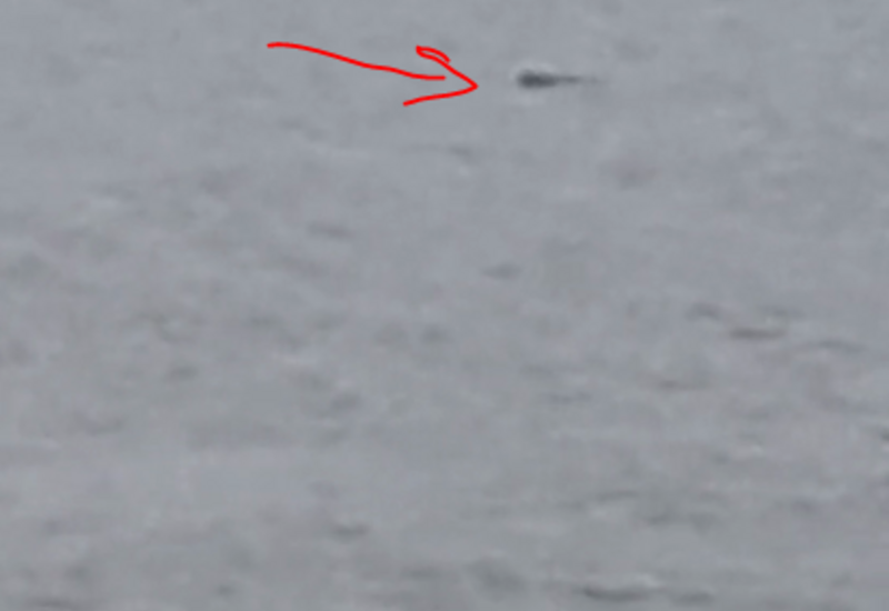 Şəmkir su anbarında qorxulu anlar