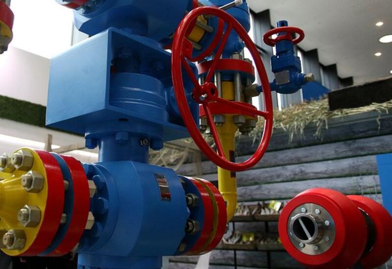 Европейская страна решила снизить плату за транзит российского газа