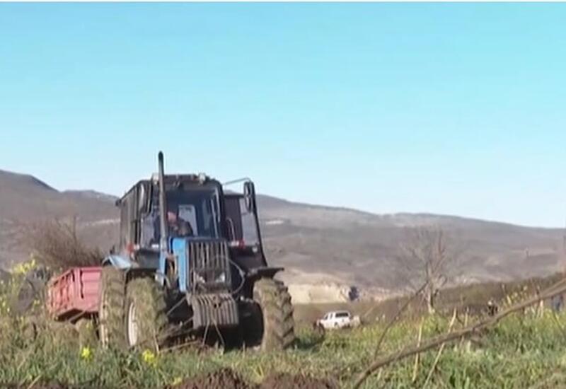 Separatçılardan təmizlənən ərazilərdə yeni proses başlayıb
