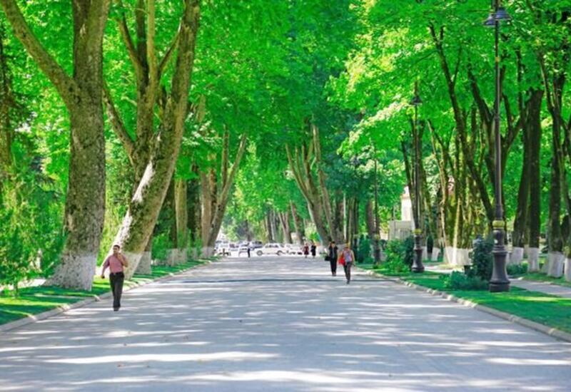 İsmayıllıda kənd təsərrüfatı üzrə əsas hədəflər
