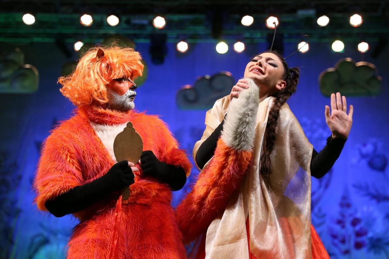 В поисках друзей… В Баку рассказали увлекательную историю