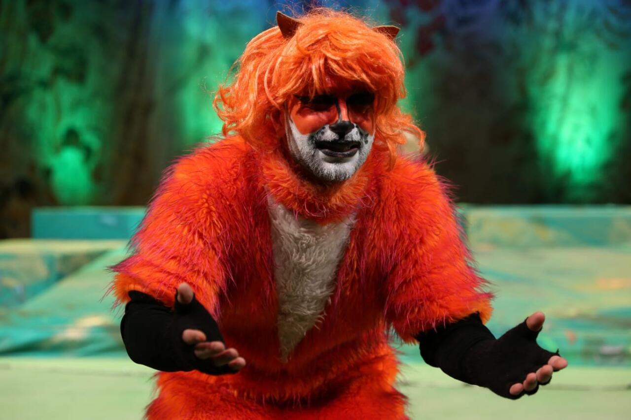 В поисках друзей… В Баку рассказали увлекательную историю