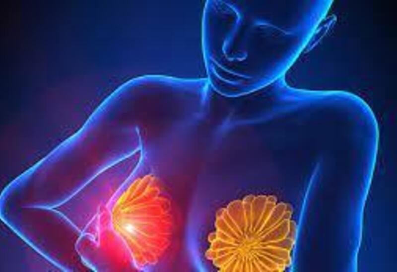 Süd vəzi xərçəngindən qoruyan meyvə...