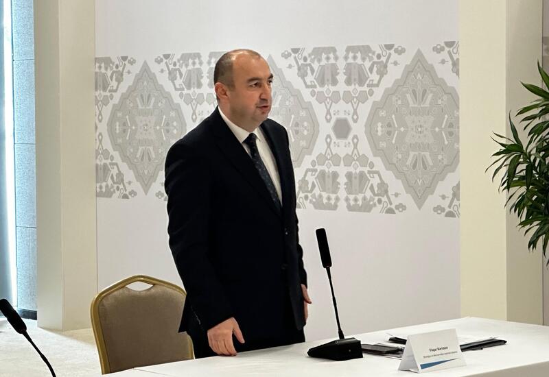 В "Год солидарности во имя зеленого мира" будут реализованы крупные проекты