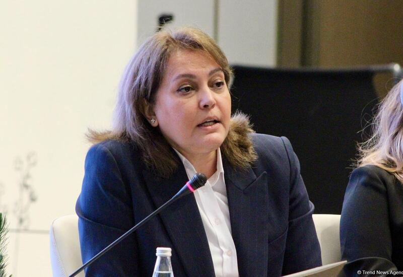 Azərbaycanda iqtisadiyyatın yaşıllaşdırılmasına dövlət investisiyaları ildən-ilə artır