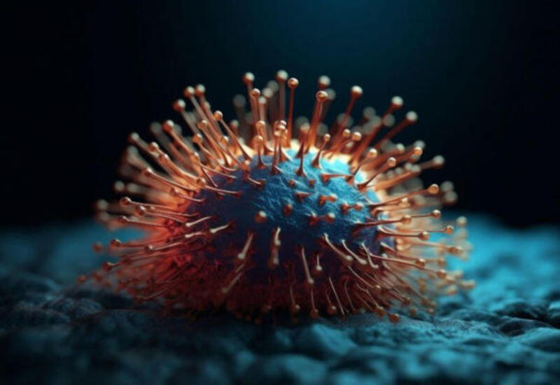 Yeni virus təhlükəsi